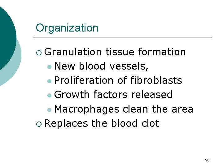 Organization ¡ Granulation tissue formation l New blood vessels, l Proliferation of fibroblasts l