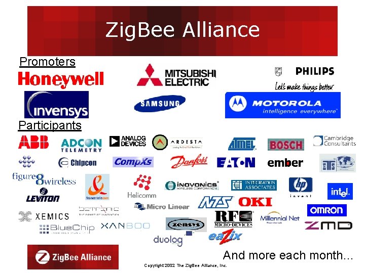 Zig. Bee Alliance Promoters Participants And more each month… Copyright 2002 The Zig. Bee