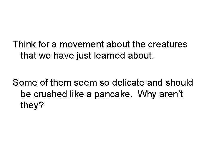 Think for a movement about the creatures that we have just learned about. Some