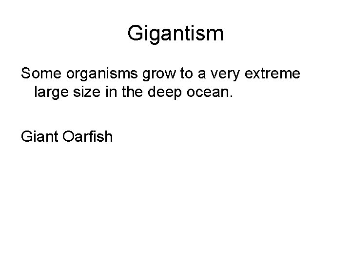 Gigantism Some organisms grow to a very extreme large size in the deep ocean.