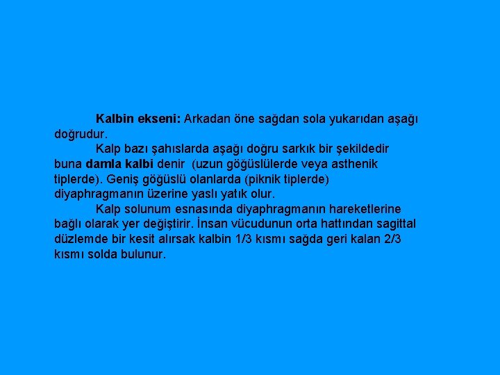  Kalbin ekseni: Arkadan öne sağdan sola yukarıdan aşağı doğrudur. Kalp bazı şahıslarda aşağı