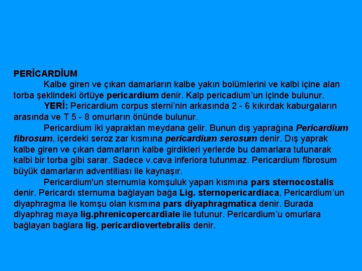 PERİCARDİUM Kalbe giren ve çıkan damarların kalbe yakın bolümlerini ve kalbi içine alan torba