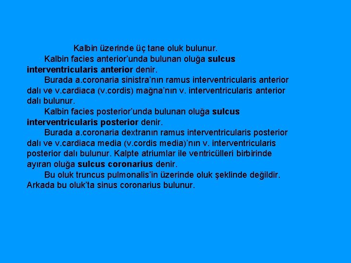  Kalbin üzerinde üç tane oluk bulunur. Kalbin facies anterior’unda bulunan oluğa sulcus interventricularis