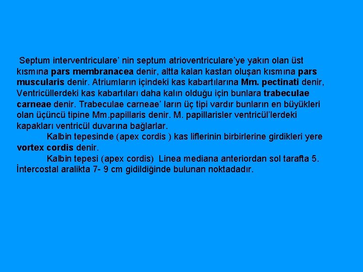  Septum interventriculare’ nin septum atrioventriculare’ye yakın olan üst kısmına pars membranacea denir, altta