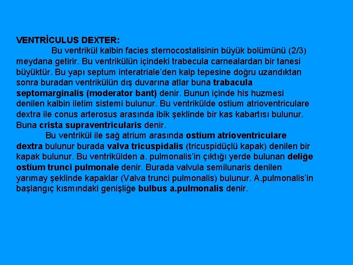 VENTRİCULUS DEXTER: Bu ventrikül kalbin facies sternocostalisinin büyük bolümünü (2/3) meydana getirir. Bu ventrikülün