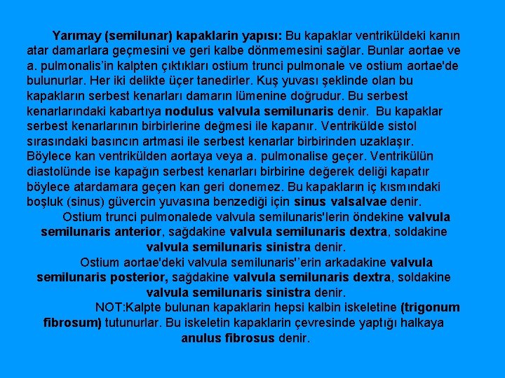 Yarımay (semilunar) kapaklarin yapısı: Bu kapaklar ventriküldeki kanın atar damarlara geçmesini ve geri kalbe