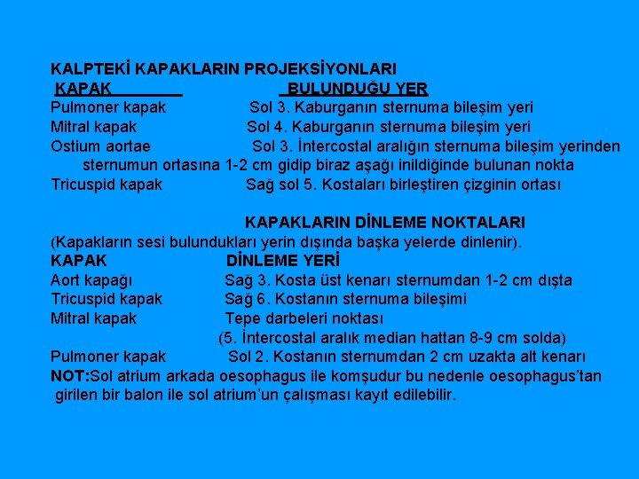 KALPTEKİ KAPAKLARIN PROJEKSİYONLARI KAPAK BULUNDUĞU YER Pulmoner kapak Sol 3. Kaburganın sternuma bileşim yeri