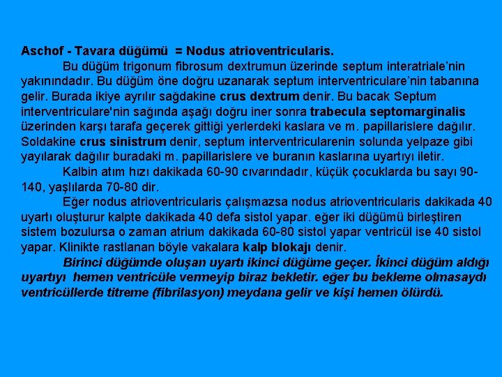 Aschof - Tavara düğümü = Nodus atrioventricularis. Bu düğüm trigonum fibrosum dextrumun üzerinde septum