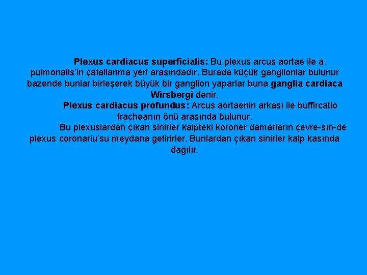  Plexus cardiacus superficialis: Bu plexus arcus aortae ile a. pulmonalis’in çatallanma yeri arasındadır.