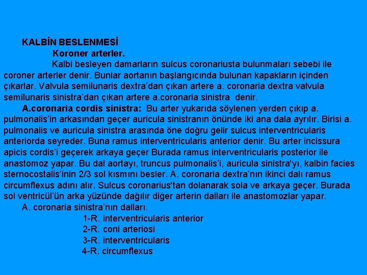 KALBİN BESLENMESİ Koroner arterler. Kalbi besleyen damarların sulcus coronariusta bulunmaları sebebi ile coroner arterler