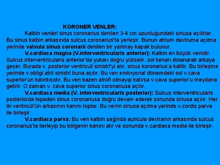  KORONER VENLER: Kalbin venleri sinus coronarius denilen 3 4 cm uzunluğundaki sinusa açılirlar.