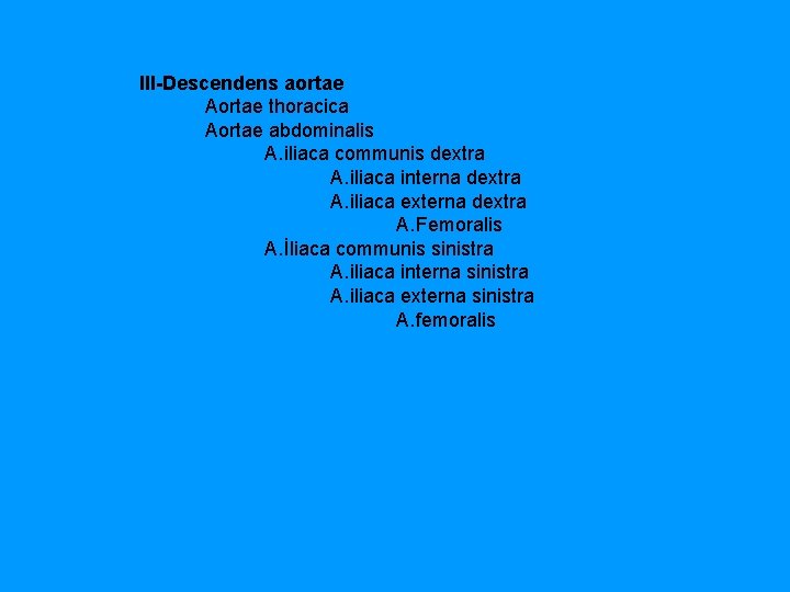  III-Descendens aortae Aortae thoracica Aortae abdominalis A. iliaca communis dextra A. iliaca interna