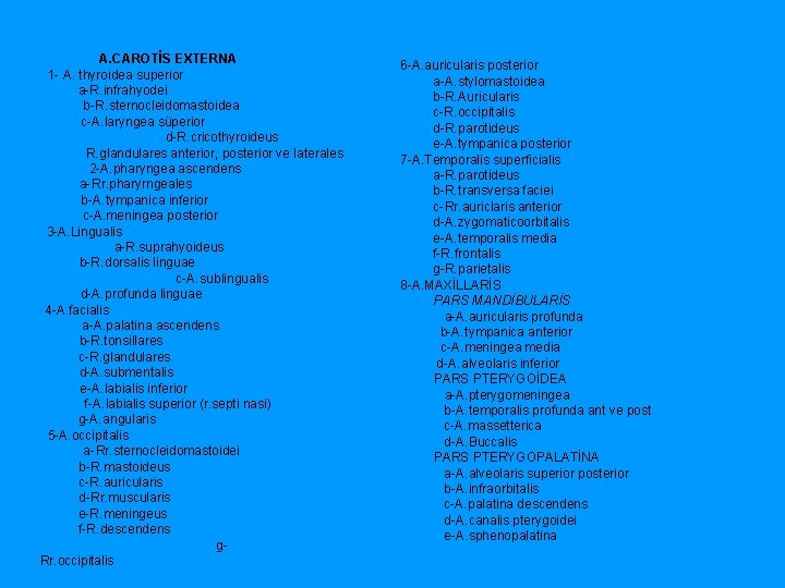 A. CAROTİS EXTERNA 1 A. thyroidea superior a R. infrahyodei b R. sternocleidomastoidea c