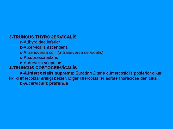 3 -TRUNCUS THYROCERVİCALİS a A. thyroidea inferior b A. cervicalis ascendens c A. transversa