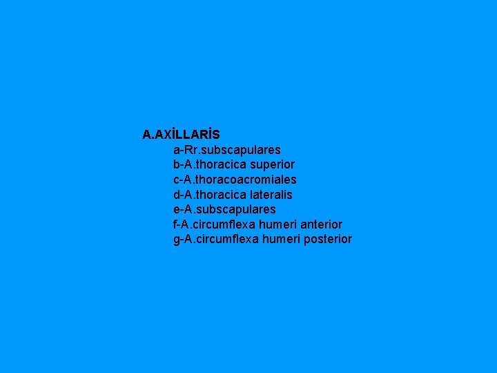A. AXİLLARİS a Rr. subscapulares b A. thoracica superior c A. thoracoacromiales d A.