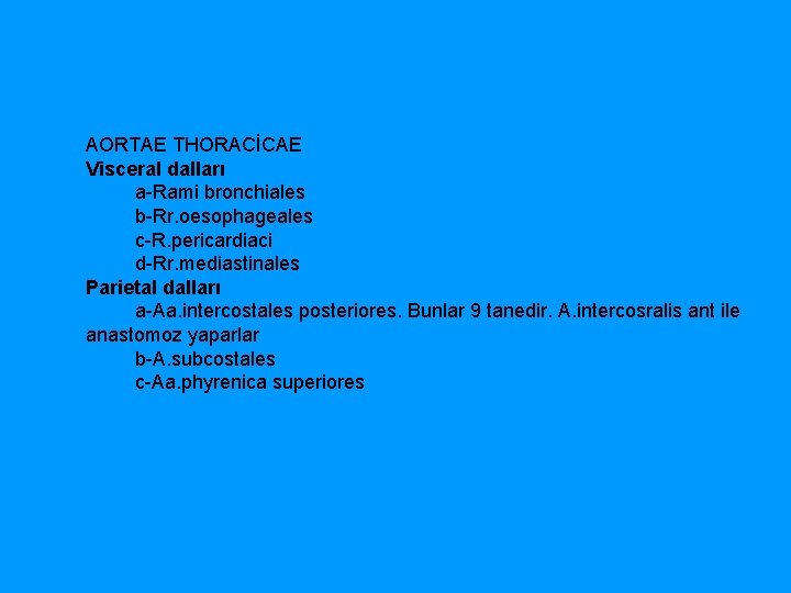 AORTAE THORACİCAE Visceral dalları a Rami bronchiales b Rr. oesophageales c R. pericardiaci d