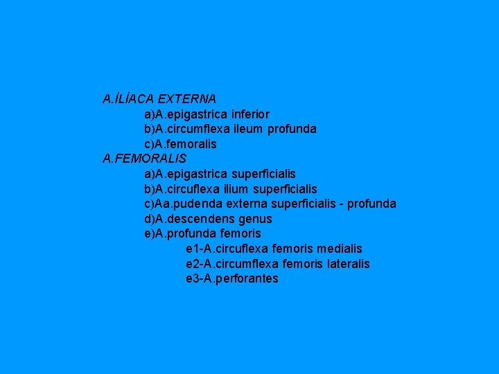 A. İLİACA EXTERNA a)A. epigastrica inferior b)A. circumflexa ileum profunda c)A. femoralis A. FEMORALIS