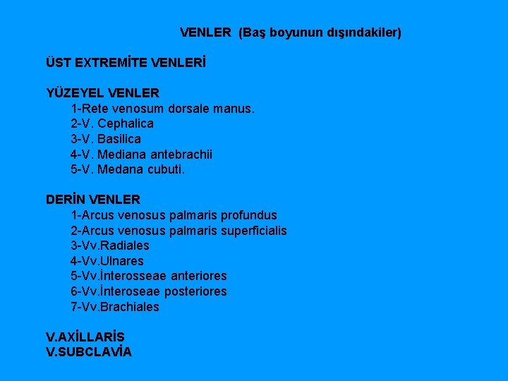  VENLER (Baş boyunun dışındakiler) ÜST EXTREMİTE VENLERİ YÜZEYEL VENLER 1 Rete venosum dorsale