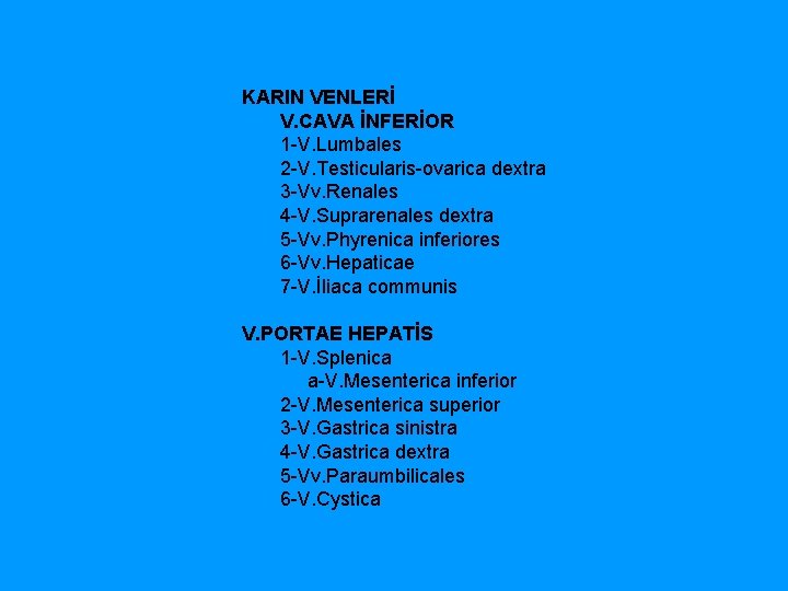 KARIN VENLERİ V. CAVA İNFERİOR 1 V. Lumbales 2 V. Testicularis ovarica dextra 3