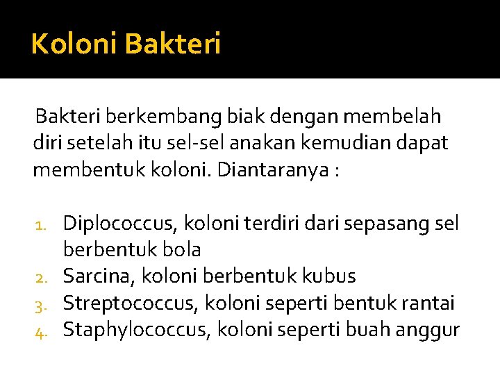 Koloni Bakteri berkembang biak dengan membelah diri setelah itu sel-sel anakan kemudian dapat membentuk