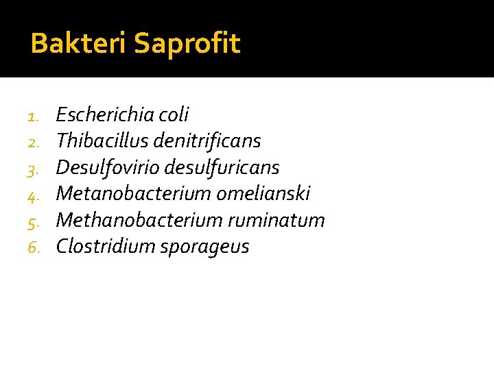 Bakteri Saprofit 1. 2. 3. 4. 5. 6. Escherichia coli Thibacillus denitrificans Desulfovirio desulfuricans