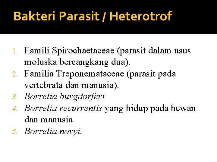 Bakteri Parasit / Heterotrof 1. 2. 3. 4. 5. Famili Spirochaetaceae (parasit dalam usus