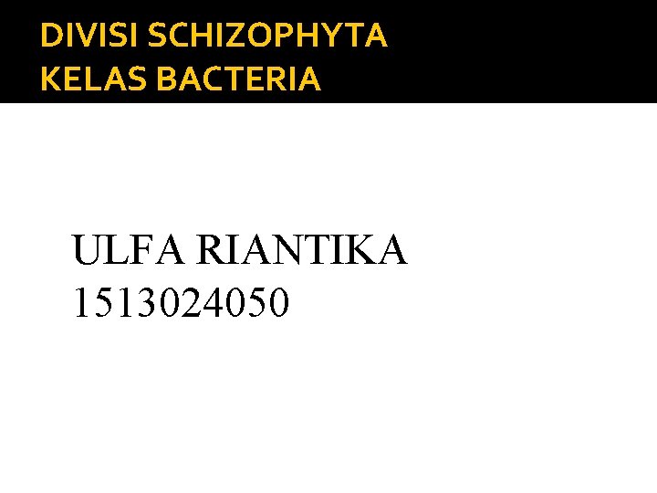 DIVISI SCHIZOPHYTA KELAS BACTERIA ULFA RIANTIKA 1513024050 