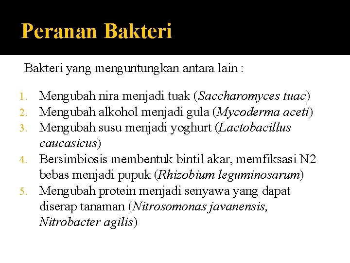 Peranan Bakteri yang menguntungkan antara lain : Mengubah nira menjadi tuak (Saccharomyces tuac) Mengubah