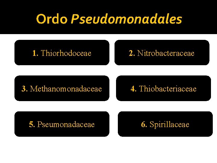 Ordo Pseudomonadales 1. Thiorhodoceae 2. Nitrobacteraceae 3. Methanomonadaceae 4. Thiobacteriaceae 5. Pseumonadaceae 6. Spirillaceae