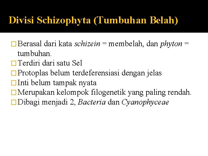 Divisi Schizophyta (Tumbuhan Belah) � Berasal dari kata schizein = membelah, dan phyton =