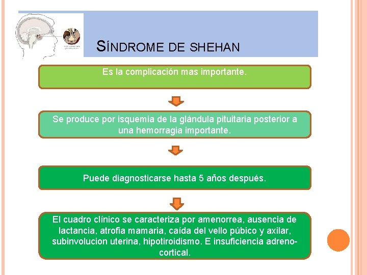 SÍNDROME DE SHEHAN Es la complicación mas importante. Se produce por isquemia de la
