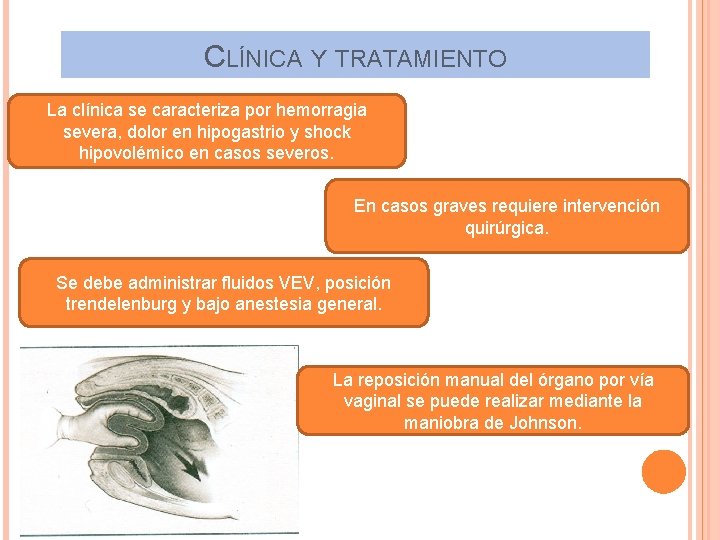 CLÍNICA Y TRATAMIENTO La clínica se caracteriza por hemorragia severa, dolor en hipogastrio y