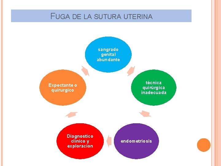 FUGA DE LA SUTURA UTERINA sangrado genital abundante Expectante o quirurgico Diagnostico clinico y