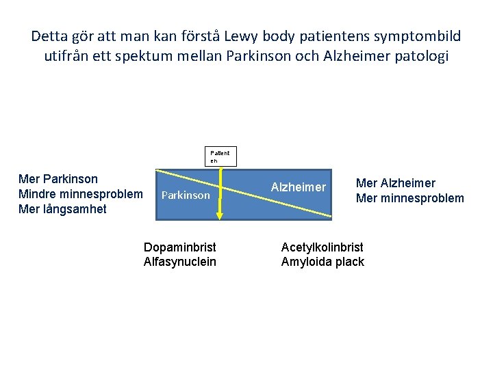 Detta gör att man kan förstå Lewy body patientens symptombild utifrån ett spektum mellan