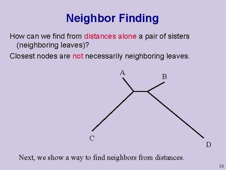 Neighbor Finding How can we find from distances alone a pair of sisters (neighboring Neighbor Finding How can we find from distances alone a pair of sisters (neighboring