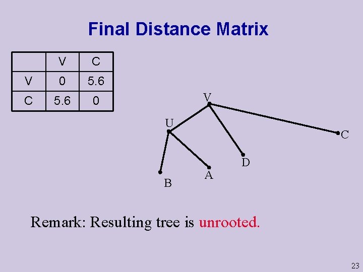 Final Distance Matrix V C V 0 5. 6 C 5. 6 0 V Final Distance Matrix V C V 0 5. 6 C 5. 6 0 V