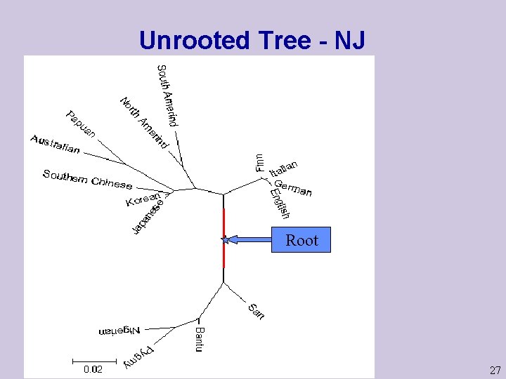 Unrooted Tree - NJ Root 27 Unrooted Tree - NJ Root 27