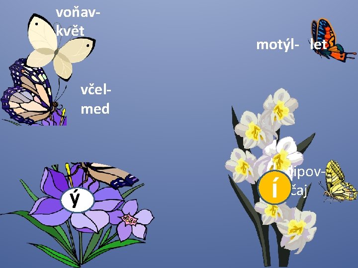 voňavkvět motýl- let včelmed ýYY í lipovčaj 