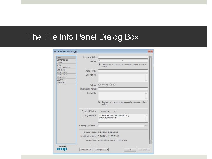 The File Info Panel Dialog Box 