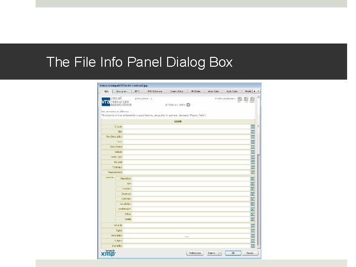 The File Info Panel Dialog Box The File Info Panel Dialog Box