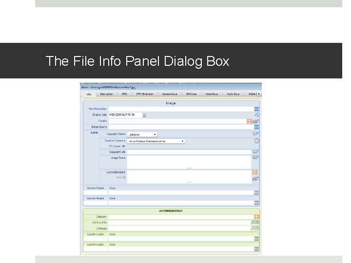 The File Info Panel Dialog Box The File Info Panel Dialog Box
