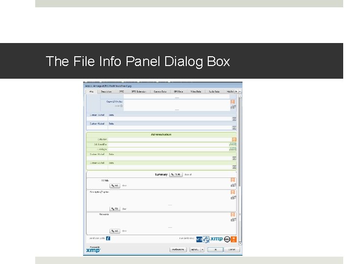 The File Info Panel Dialog Box The File Info Panel Dialog Box