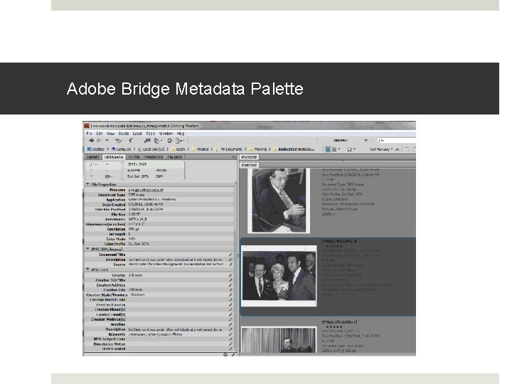 Adobe Bridge Metadata Palette 
