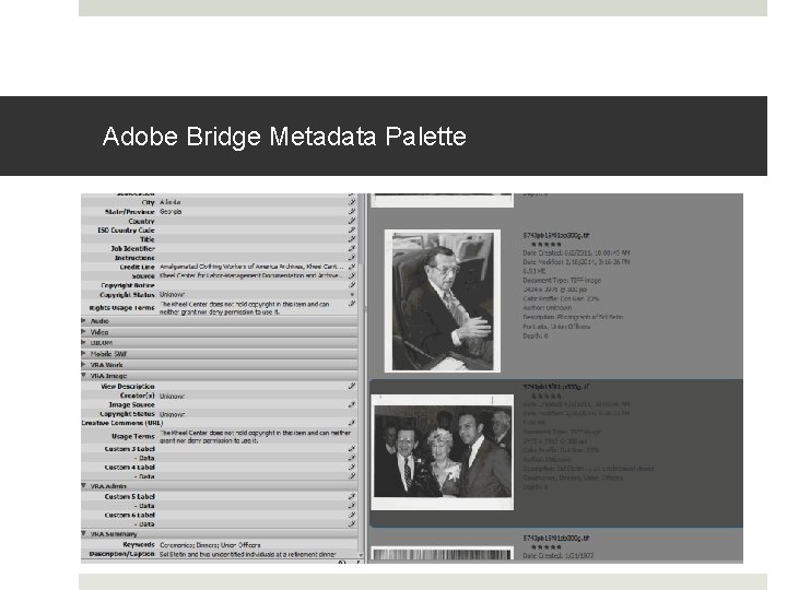 Adobe Bridge Metadata Palette 