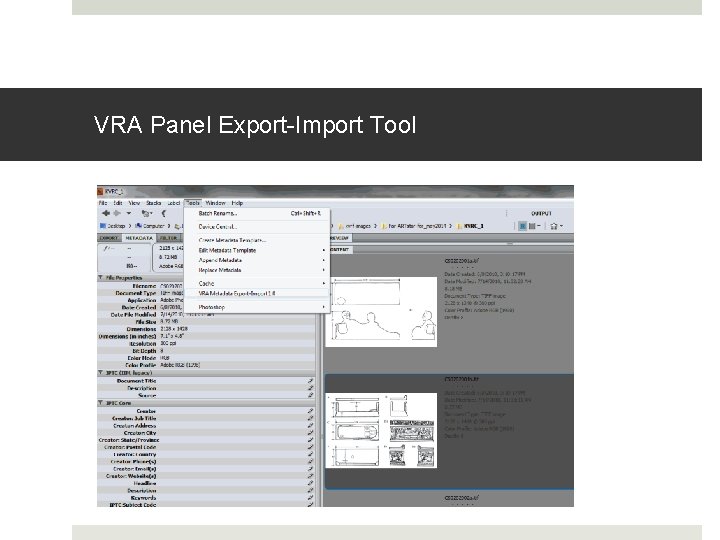 VRA Panel Export-Import Tool 
