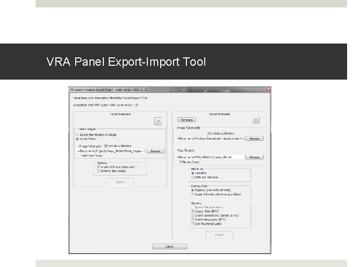 VRA Panel Export-Import Tool 