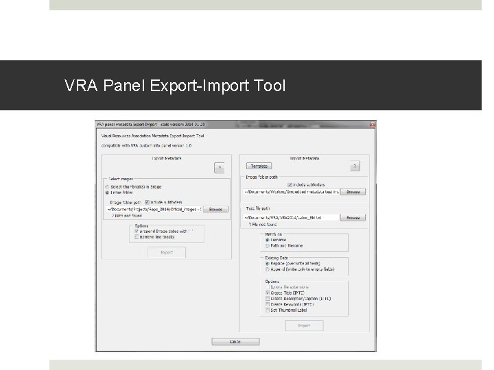 VRA Panel Export-Import Tool VRA Panel Export-Import Tool