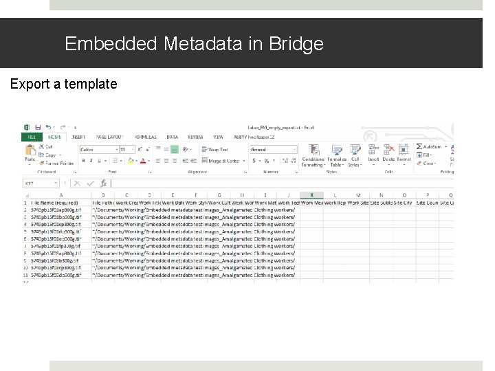 Embedded Metadata in Bridge Export a template 