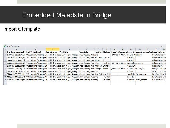 Embedded Metadata in Bridge Import a template Embedded Metadata in Bridge Import a template