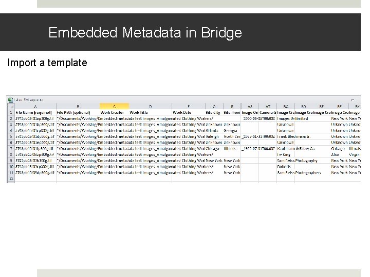 Embedded Metadata in Bridge Import a template 